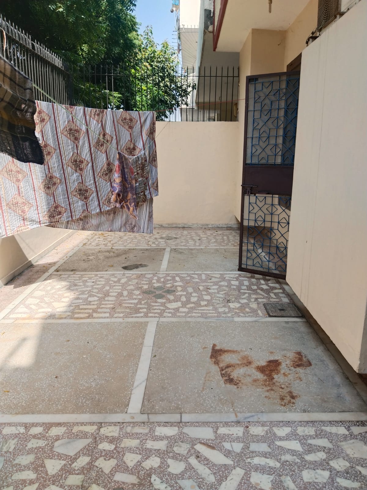 WhatsApp-Image-2024-10-08-at-17.31.29-1