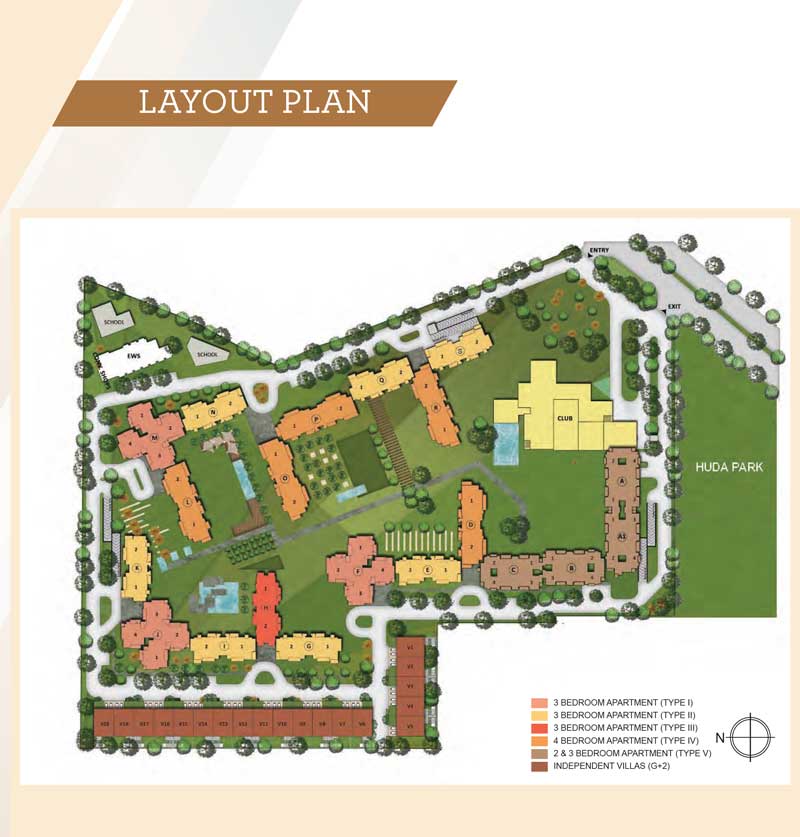 layout