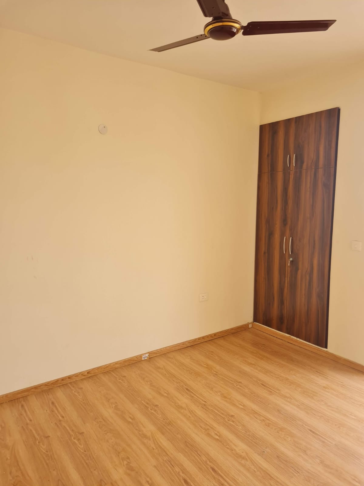 WhatsApp-Image-2025-09-18-at-17.12.01