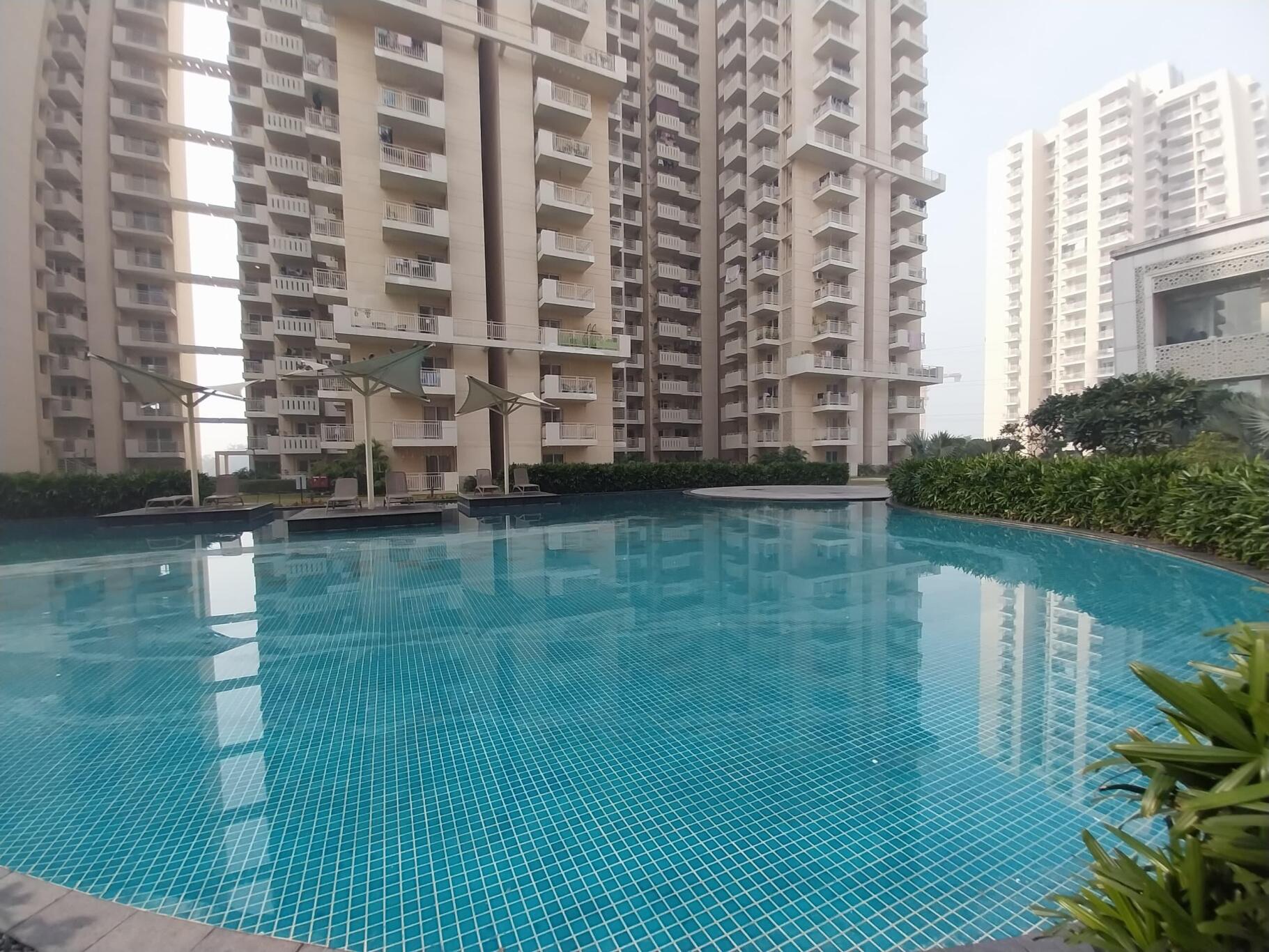 cafarrt_1739274960_568684763_optOrig