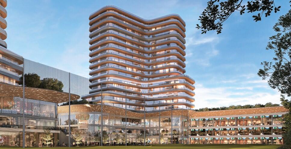 pp6gctf_1751626969_615186947_optOrig