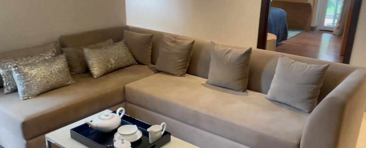 ezh3ygq_1692601297_440823546_optOrig