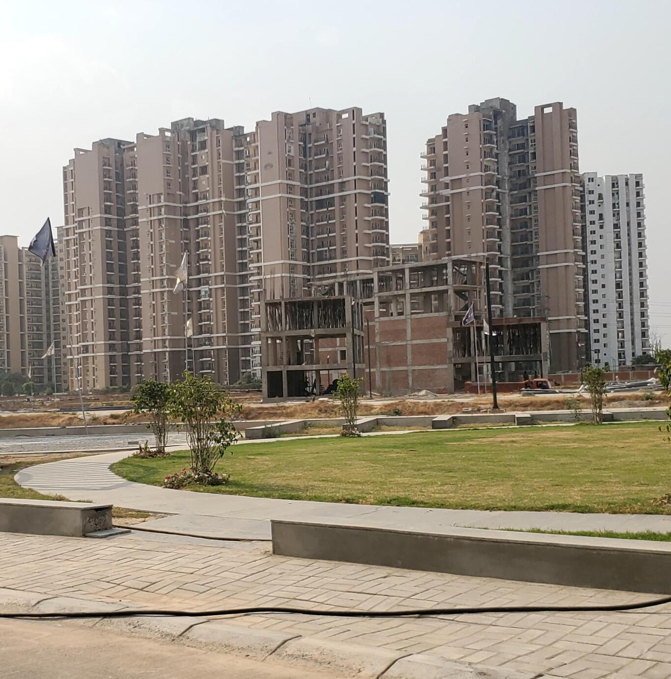 tzlm9zm_1738747944_567043149_optOrig