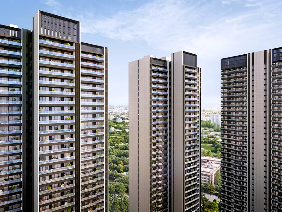 1734346207222-ffd71b1c-8ac0-4982-91b7-98e9161fe-1