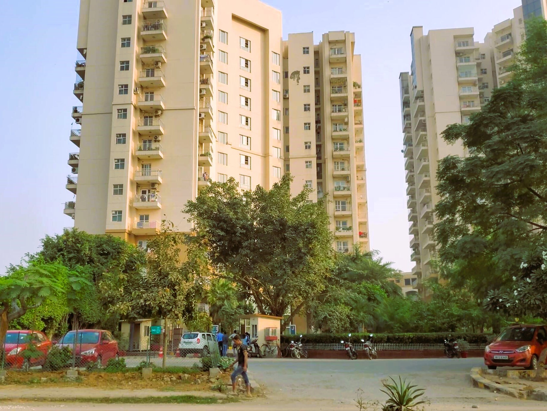 dulapai_1732598479_533453201_optOrig