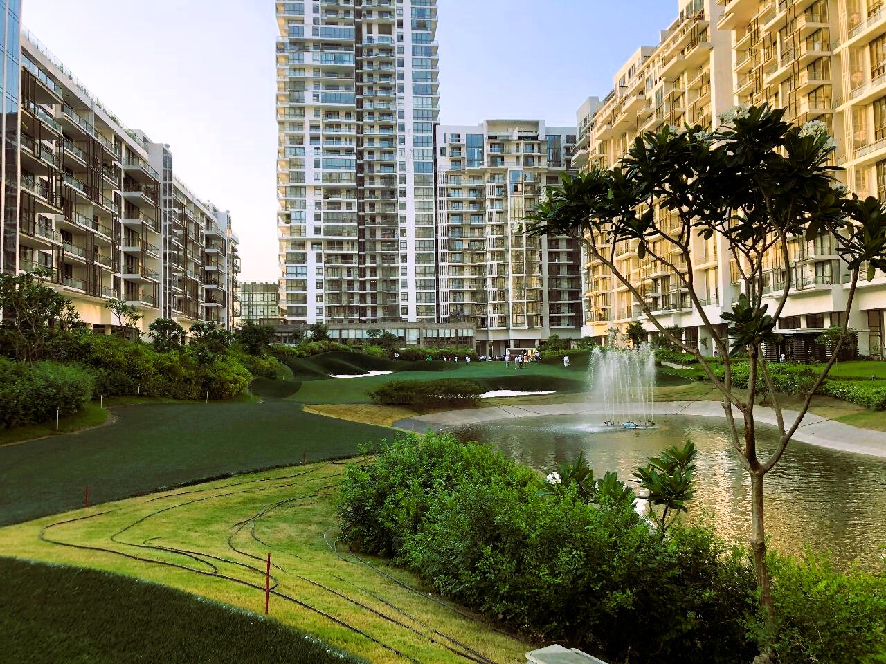 kup71eo_1736254502_552227277