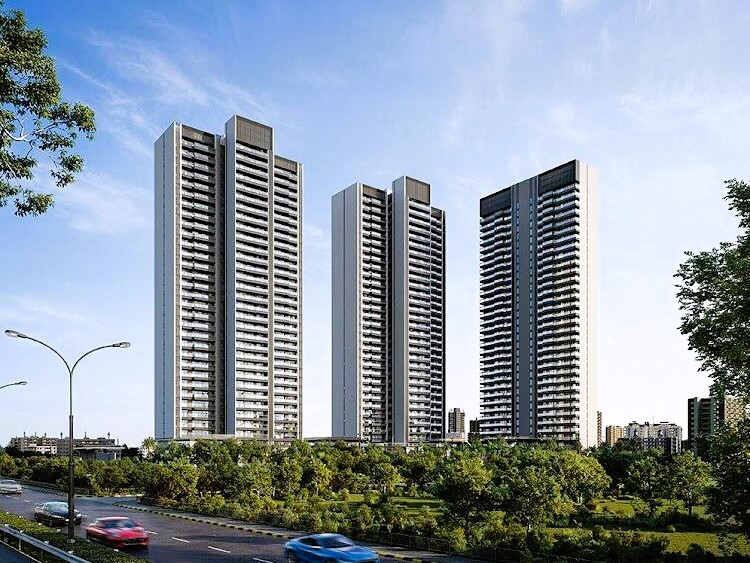 sepx1zy_1737624567_563691949_optO-1