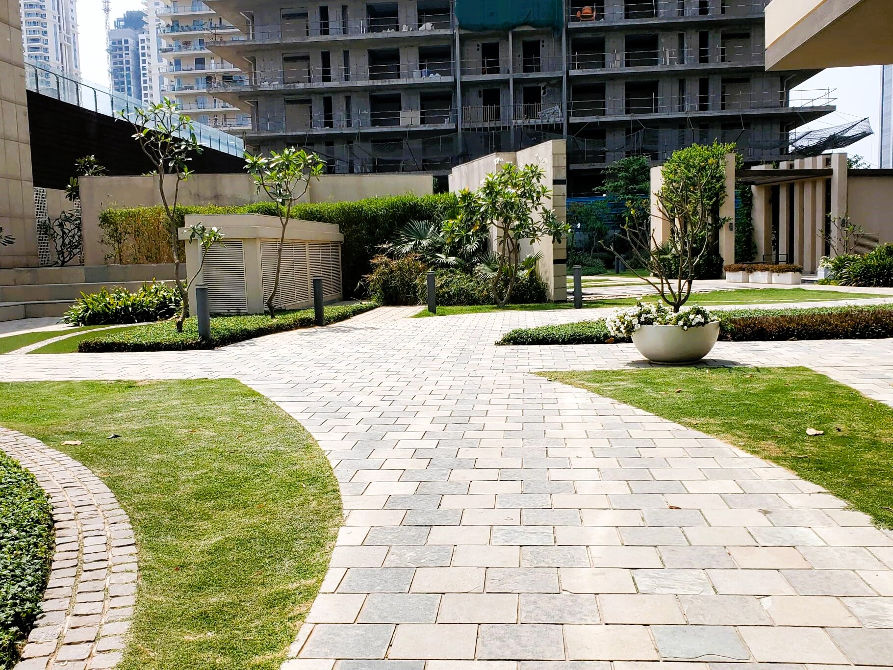 v6i3jty_1747632918_597282923_optOrig