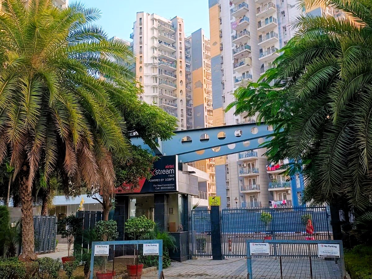 st5vd3u_1741858567_577271119_optOrig